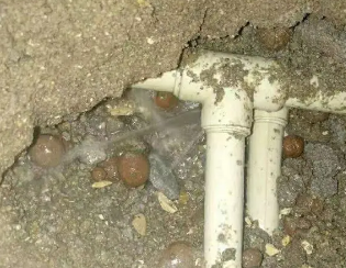 友好卫生间测漏